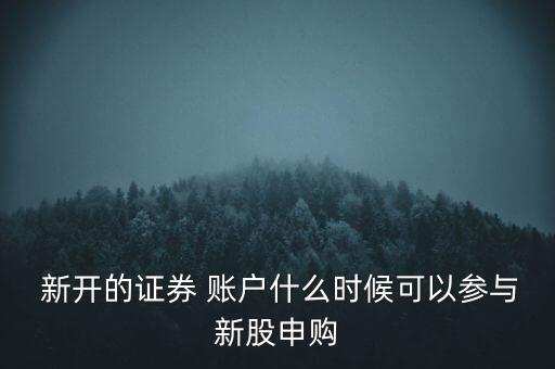  新開的證券 賬戶什么時(shí)候可以參與新股申購