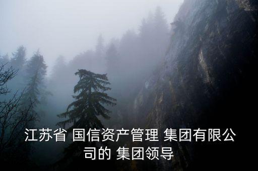 江蘇省國信集團(tuán)黃旭芒