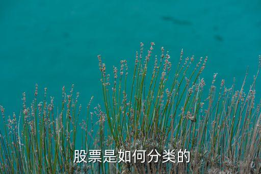 股票按照交易范圍分為,股票2點30分為什么交易不了