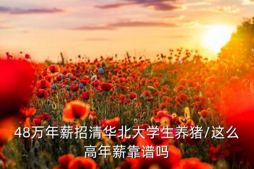 北京中農正邦怎么樣,北京正邦創(chuàng)意公司怎么樣