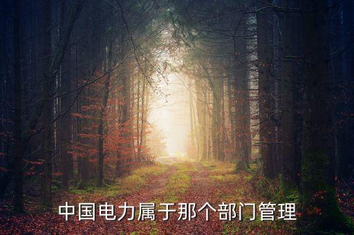 中國電力屬于那個(gè)部門管理