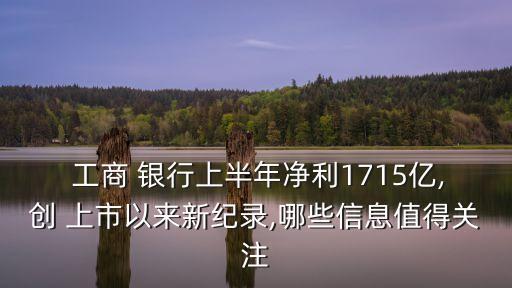  工商 銀行上半年凈利1715億,創(chuàng) 上市以來新紀錄,哪些信息值得關(guān)注
