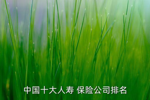 中國(guó)十大人壽 保險(xiǎn)公司排名