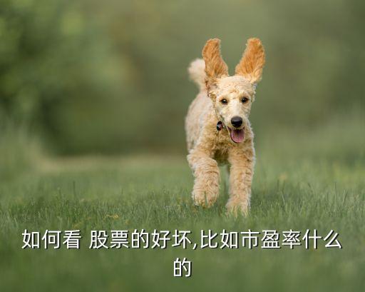 股票好不好通過(guò)什么分析,什么軟件分析股票最精準(zhǔn)
