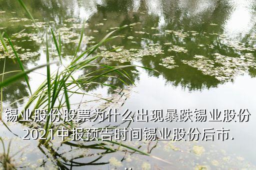 錫業(yè)股份股票為什么出現(xiàn)暴跌錫業(yè)股份2021中報預(yù)告時間錫業(yè)股份后市...