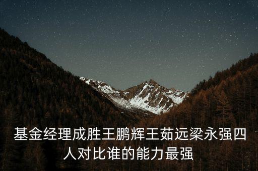 基金經(jīng)理成勝王鵬輝王茹遠(yuǎn)梁永強四人對比誰的能力最強