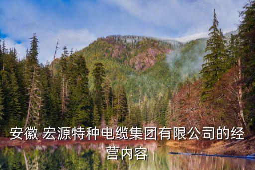 安徽 宏源特種電纜集團有限公司的經(jīng)營內容