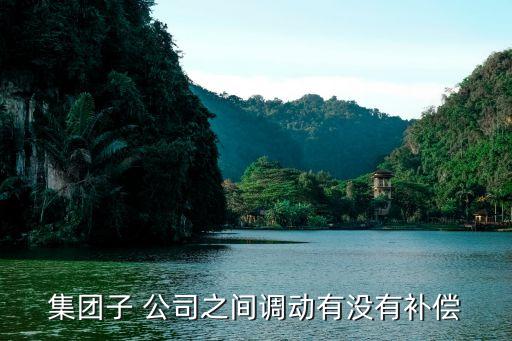 集團(tuán)子 公司之間調(diào)動有沒有補(bǔ)償