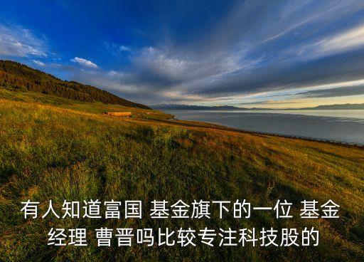 有人知道富國 基金旗下的一位 基金 經理 曹晉嗎比較專注科技股的