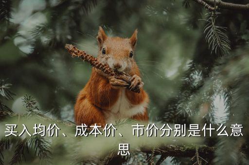 買入均價、成本價、市價分別是什么意思