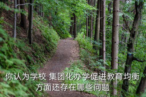 你認(rèn)為學(xué)校 集團化辦學(xué)促進教育均衡方面還存在哪些問題