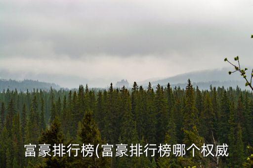 北京鴻商集團股份有限公司,鴻星科技(集團)股份有限公司上市