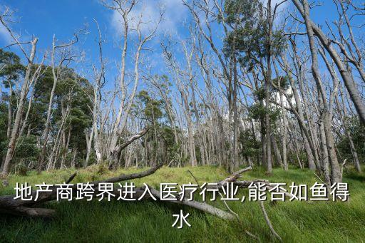 北京社會資本辦醫(yī),社會資本辦醫(yī)的特殊之處