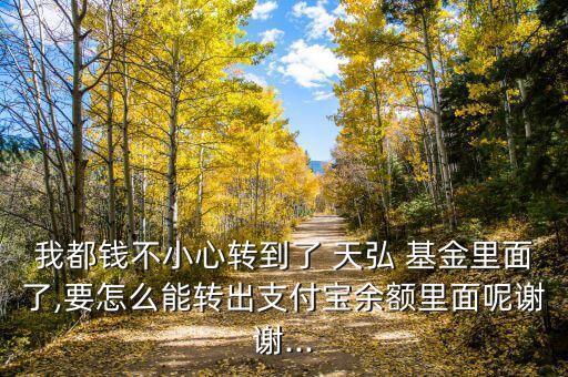 我都錢不小心轉到了 天弘 基金里面了,要怎么能轉出支付寶余額里面呢謝謝...