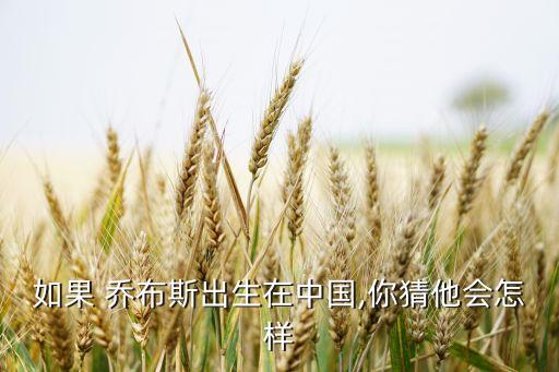 如果 喬布斯出生在中國(guó),你猜他會(huì)怎樣