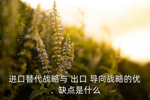 中國不適合出口導向型經(jīng)濟