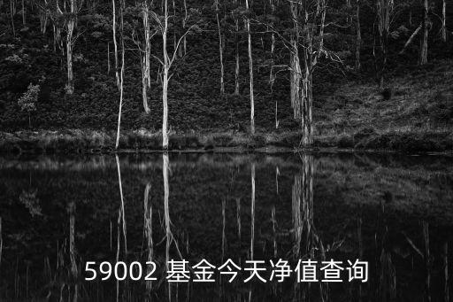 59002 基金今天凈值查詢(xún)