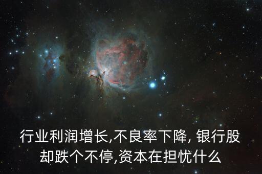 行業(yè)利潤增長,不良率下降, 銀行股卻跌個不停,資本在擔(dān)憂什么