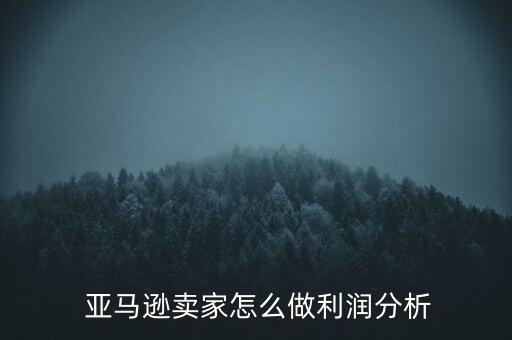 亞馬遜中國財務(wù)報表