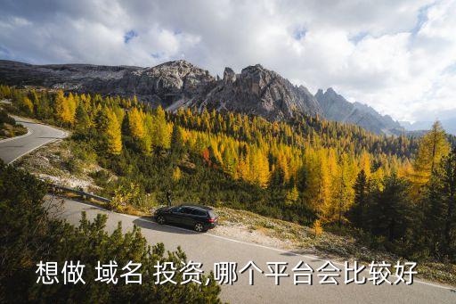 想做 域名 投資,哪個平臺會比較好