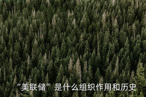“美聯(lián)儲(chǔ)”是什么組織作用和歷史