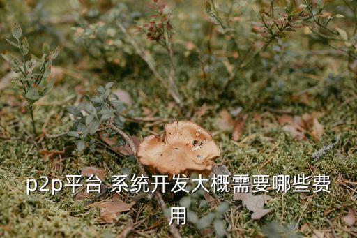 p2p平臺 系統(tǒng)開發(fā)大概需要哪些費用