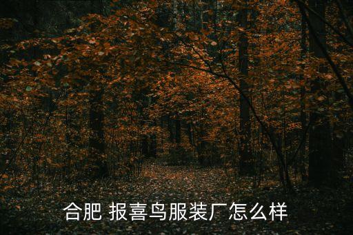 合肥 報喜鳥服裝廠怎么樣