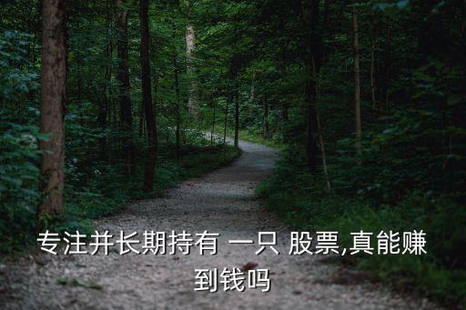 專(zhuān)注并長(zhǎng)期持有 一只 股票,真能賺到錢(qián)嗎