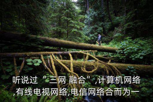 聽(tīng)說(shuō)過(guò)“ 三網(wǎng) 融合”,計(jì)算機(jī)網(wǎng)絡(luò),有線電視網(wǎng)絡(luò),電信網(wǎng)絡(luò)合而為一