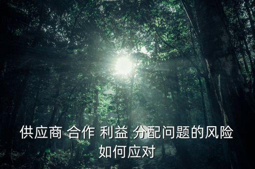 供應(yīng)商 合作 利益 分配問題的風(fēng)險如何應(yīng)對