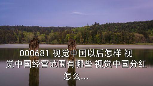 000681 視覺中國(guó)以后怎樣 視覺中國(guó)經(jīng)營(yíng)范圍有哪些 視覺中國(guó)分紅怎么...