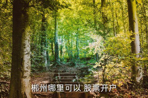郴州哪里可以 股票開戶