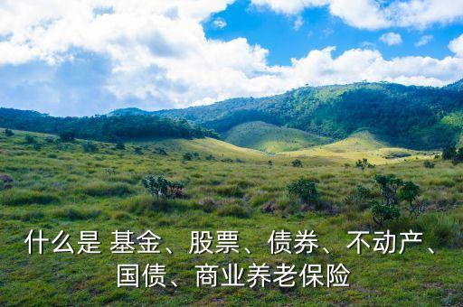 什么是 基金、股票、債券、不動(dòng)產(chǎn)、 國(guó)債、商業(yè)養(yǎng)老保險(xiǎn)