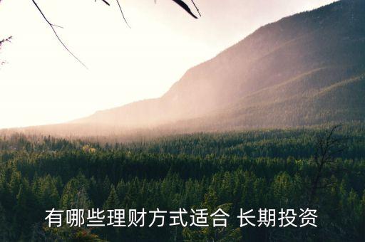 有哪些理財(cái)方式適合 長(zhǎng)期投資