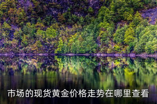 市場的現貨黃金價格走勢在哪里查看