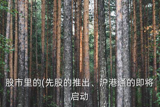 股市里的(先股的推出、滬港通的即將啟動