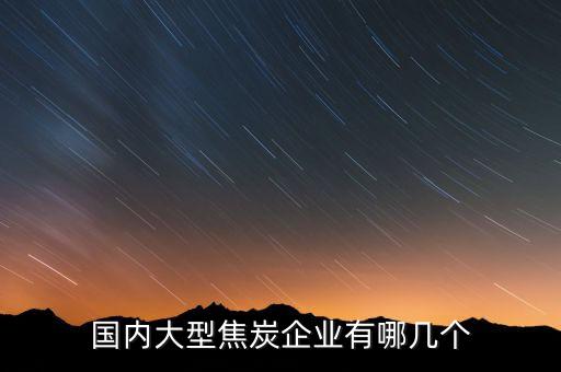 國內大型焦炭企業(yè)有哪幾個