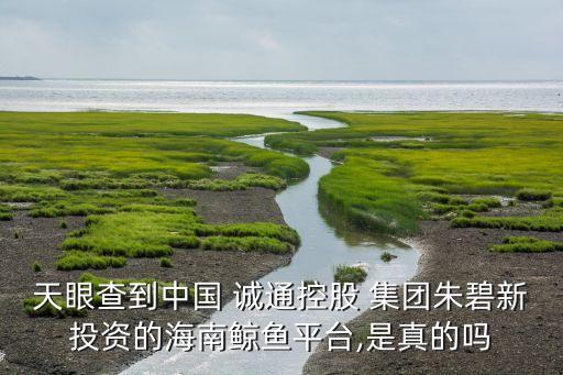 誠通集團(tuán)改革概念股