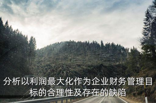 分析以利潤最大化作為企業(yè)財務(wù)管理目標的合理性及存在的缺陷