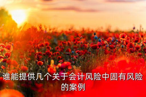 誰(shuí)能提供幾個(gè)關(guān)于會(huì)計(jì)風(fēng)險(xiǎn)中固有風(fēng)險(xiǎn)的案例