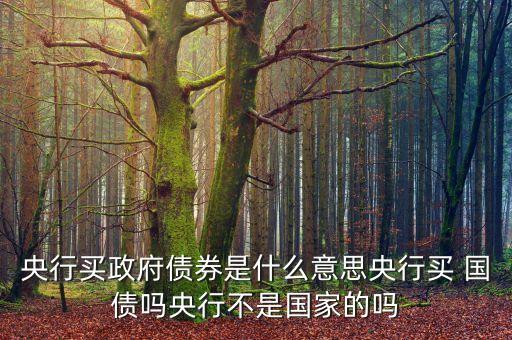 中國(guó)人民銀行購(gòu)買(mǎi)國(guó)債