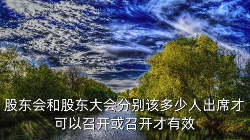 股東會(huì)和股東大會(huì)分別該多少人出席才可以召開或召開才有效