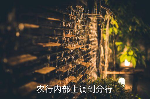 農(nóng)行內部上調到分行