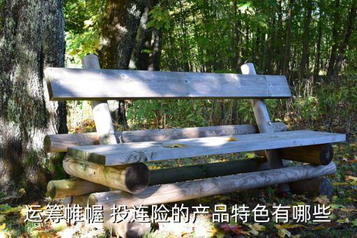 運籌帷幄 投連險的產(chǎn)品特色有哪些