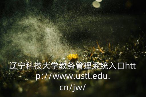 上海市科學技術委員會凌鋼