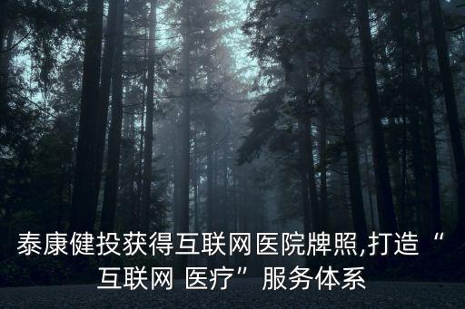 泰康健投獲得互聯(lián)網(wǎng)醫(yī)院牌照,打造“互聯(lián)網(wǎng) 醫(yī)療”服務(wù)體系