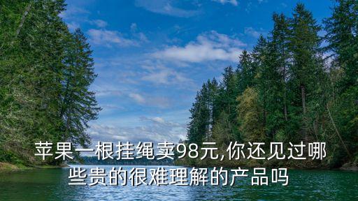  蘋果一根掛繩賣98元,你還見(jiàn)過(guò)哪些貴的很難理解的產(chǎn)品嗎