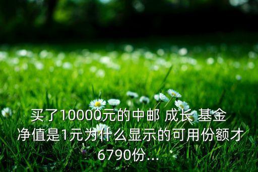 買了10000元的中郵 成長(zhǎng) 基金 凈值是1元為什么顯示的可用份額才6790份...