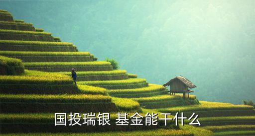 國投瑞銀 基金能干什么