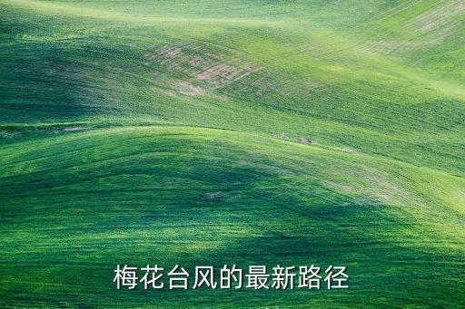 梅花臺風的最新路徑